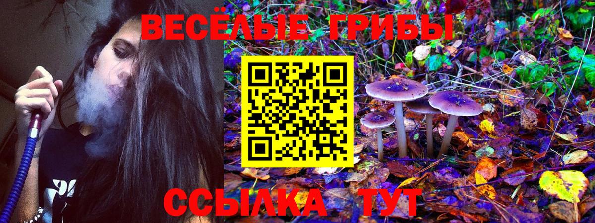 Галлюциногенные грибы Cubensis  Вход с VPN  Фурманов 